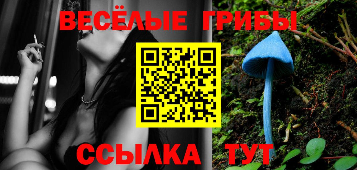 Псилоцибиновые грибы мицелий  Вход с VPN  Псилоцибиновые грибы прущие грибы  Хабаровск 